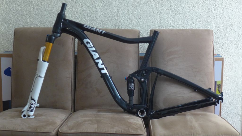 Giant Trance X 29er frame