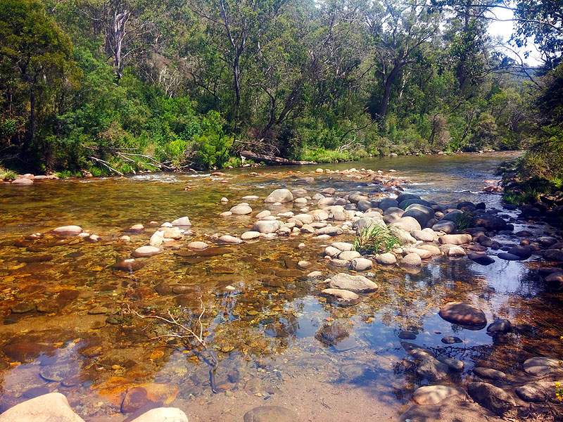 Snowy River at Tom Groggin
