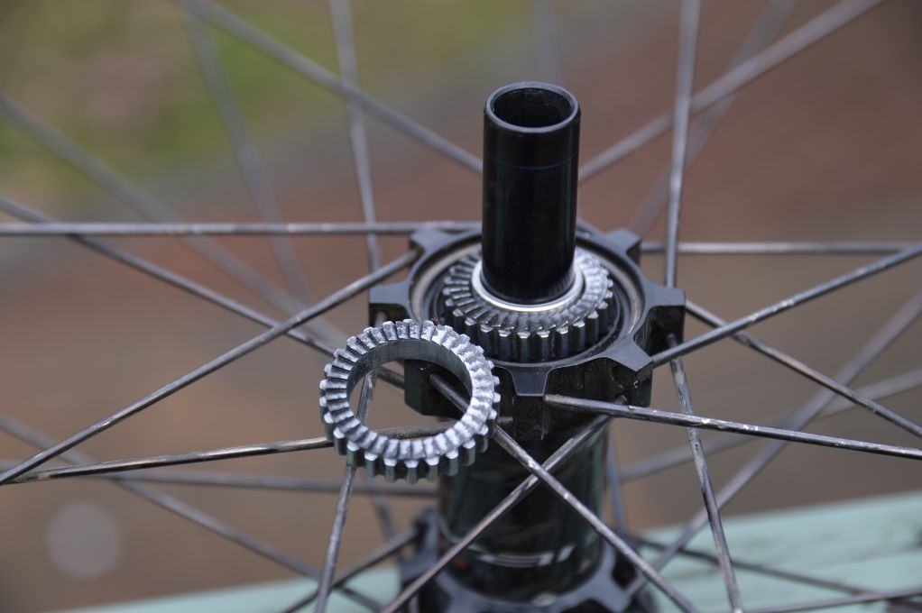 Roval rear hub showing DT Swiss internals including 36t star ratchets