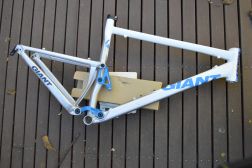 Large Anthem X Frame