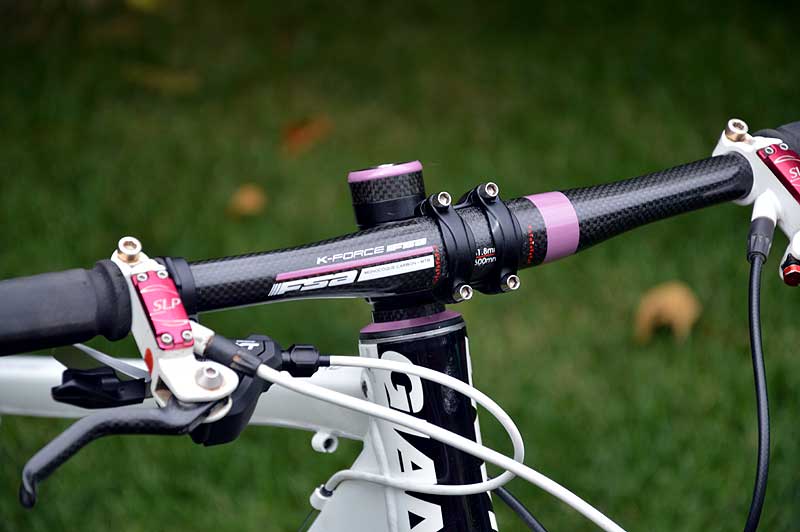 carbon bars refinished with painted highlights