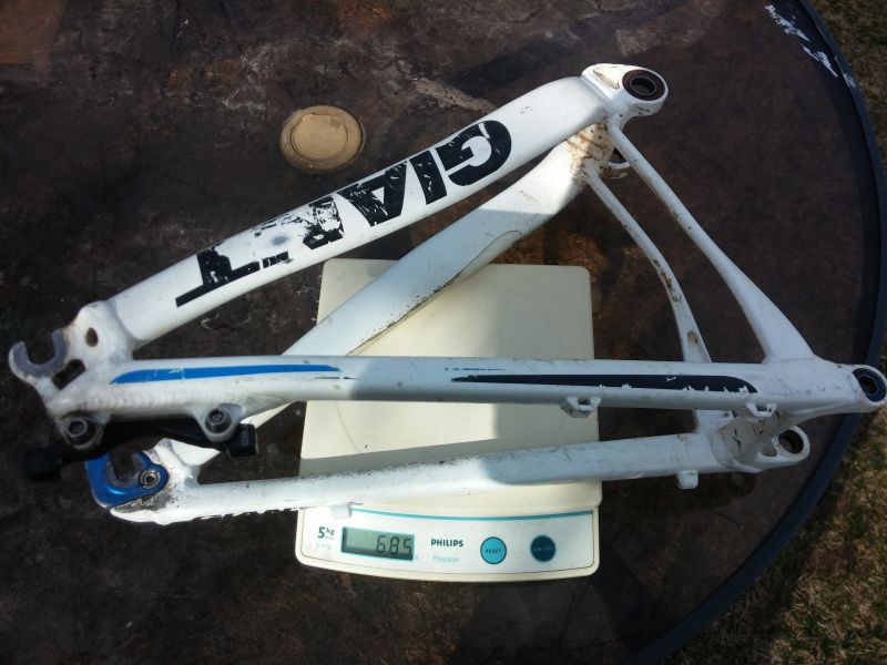 Giant Anthem X 2010 rear triangle